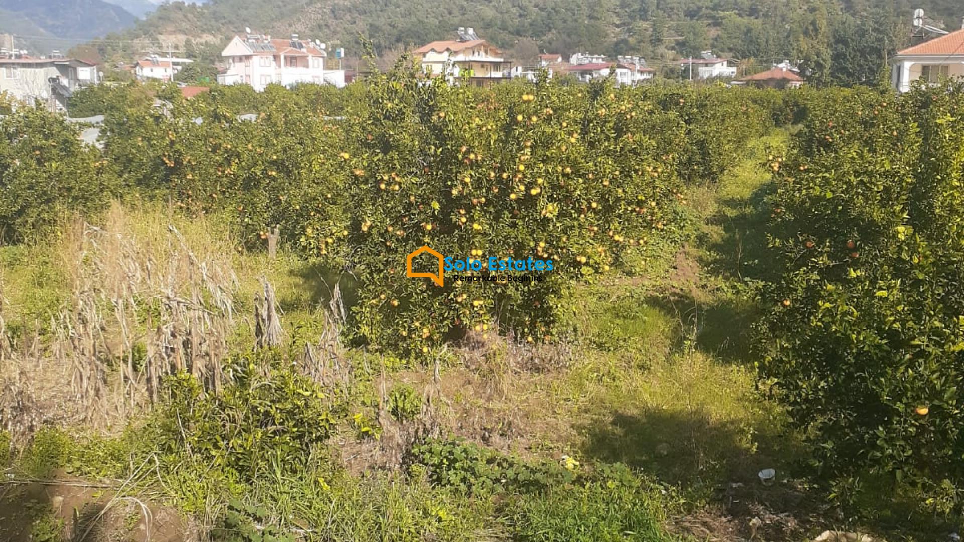 Muğla Fethiye Yanıklar köyünde satılık